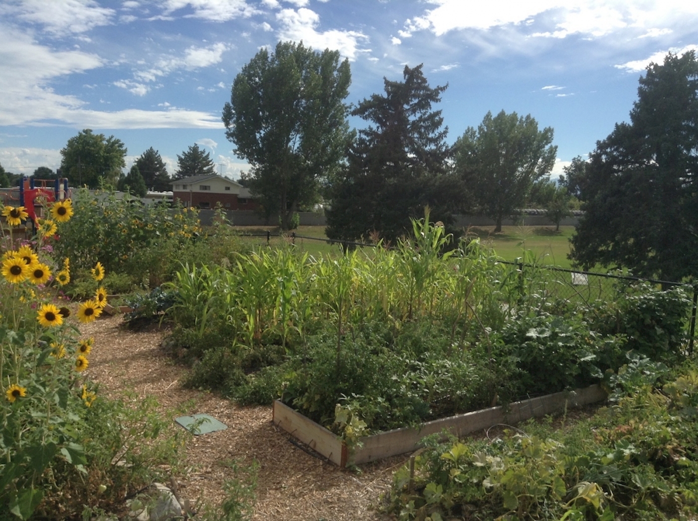 Wasatch Community Gardens partnership photo